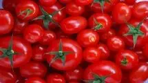 بازار گوجه فرنگی متعادل می‌شود