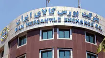 عرضه ۷۰۰ هزار و ۳۸۴ تن انواع محصول در بورس کالا