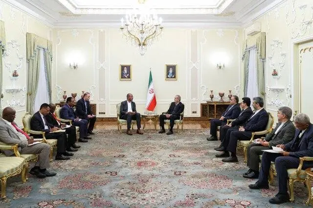 پزشکیان: ایران آماده است روابط خود با اتیوپی را در همه زمینه‌ها گسترش دهد