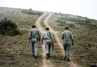 حمله ۳ متخلف به محیط‌بان در شمال تهران