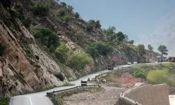 ماجرای بستن جاده پلدختر توسط مردم زیودار چه بود؟ + فیلم