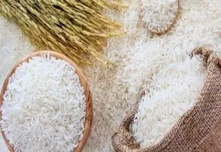لغو ممنوعیت ترخیص برنج در فصل برداشت