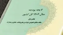بررسی بخش دوم لایحه بودجه ۱۴۰۴ در مجلس از فردا آغاز می‌شود