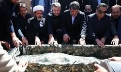پیکر استاد نواب‌زاده به خاک سپرده شد