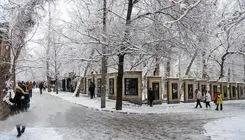 بارش برف و باران در تهران