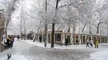 بارش برف و باران در تهران
