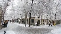 بارش برف و باران در تهران