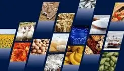 فراهم شدن امکان ثبت سفارش واردات ۶ محصول کارخانجات صنایع غذایی