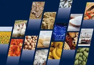 فراهم شدن امکان ثبت سفارش واردات ۶ محصول کارخانجات صنایع غذایی