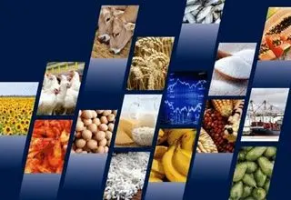 فراهم شدن امکان ثبت سفارش واردات ۶ محصول کارخانجات صنایع غذایی