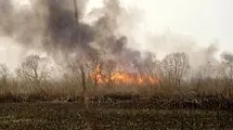 آتش به جان هور افتاد