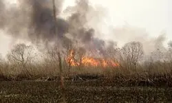 آتش به جان هور افتاد