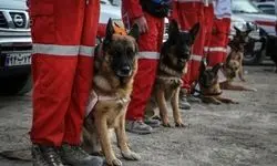 سگ‌های زنده‌یاب هلال‌احمر به سامانه‌های هوشمند رصد و پایش عملیاتی تجهیز شدند