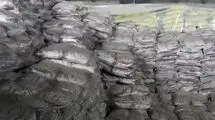  ۵۰ تن برنج خارج از شبکه توزیع توقیف شد