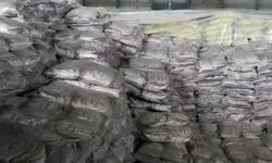  ۵۰ تن برنج خارج از شبکه توزیع توقیف شد