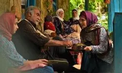 کارگردان «سوجان»: برای نمایش خانگی سریال تاریخی می‌سازم