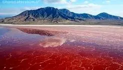 راز دریاچه ناترون که اجساد را به سنگ تبدیل می‌کند کشف شد