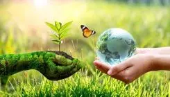 روایتی از سیزده‌به‌در؛ آیینی که از اسطوره‌های ایران باستان تا امروز در دل جنگ و اضطراب زنده ماند