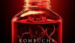 «کامبوچا»؛ روایتی سینمایی از فرسودگی شغلی پنهان