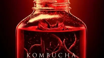 «کامبوچا»؛ روایتی سینمایی از فرسودگی شغلی پنهان