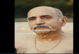 بعد از سید جواد هاشمی پرویز پرستویی هم برهنه شد!+ویدیو