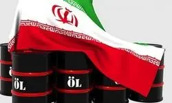 تریتا پارسی به تصمیم وزارت خزانه‌داری آمریکا درباره نفت ایران واکنش نشان داد 