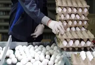 کاهش ۳۰ هزار تومانی قیمت تخم‌مرغ در بازار