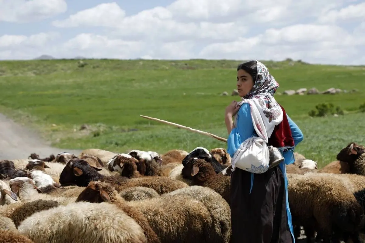 «دختر قاصدک‌ها» راهی ایتالیا می‌شود