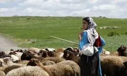 «دختر قاصدک‌ها» راهی ایتالیا می‌شود