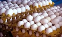 قیمت تخم‌مرغ اعلام شد؛ ۸۴ هزارتومان برای مصرف کننده