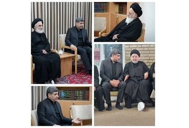 دیدار معاون عارف با برخی علمای قم