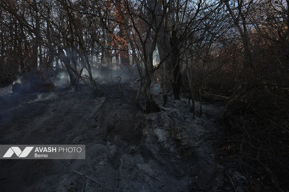 عملیات مهار آتش‌سوزی مناطق کوهستانی روستاهای دلیر و الیت