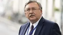 ادعای اولیانوف درباره قطعنامه ۲۲۳۱: از این به بعد فقط یک گزارش درباره ایران در دستور کار قرار می‌گیرد!