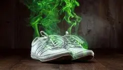 از بوی گند کفش و پنیر فاسد تا کسب جایزه نوبل!