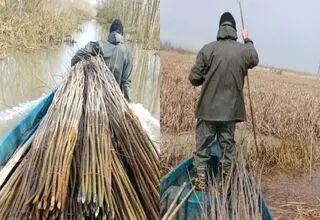 ناکامی سودجویان از تصرف تالاب بین المللی انزلی