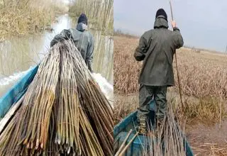 ناکامی سودجویان از تصرف تالاب بین المللی انزلی