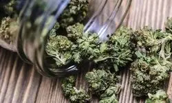 جرم و جنایت در ایالت‌های مصرف‌کننده گل در آمریکا بسیار بیشتر از سایر ایالت‌ها است