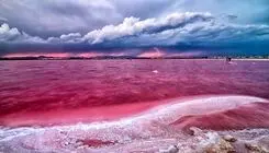 راز دریاچه‌ای که صورتی شد