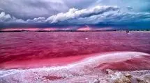 راز دریاچه‌ای که صورتی شد