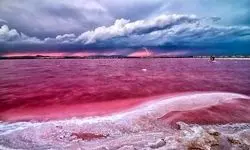 راز دریاچه‌ای که صورتی شد
