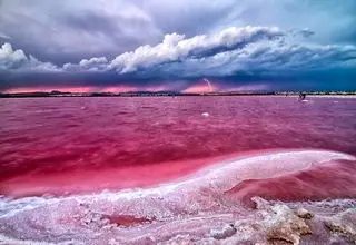 راز دریاچه‌ای که صورتی شد