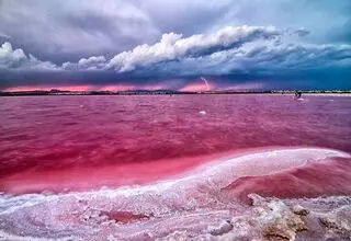 راز دریاچه‌ای که صورتی شد
