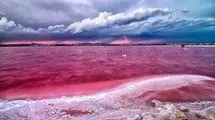 راز دریاچه‌ای که صورتی شد