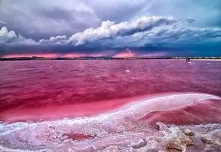 راز دریاچه‌ای که صورتی شد