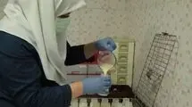 افتتاح اولین بانک شیر شمال کشور