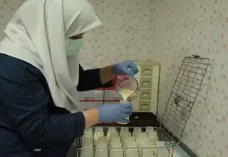 افتتاح اولین بانک شیر شمال کشور
