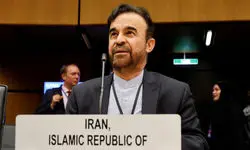 نجفی: فقط در یکسال حدود ۲ هزار و پانصد بار از  ایران بازرسی شده است