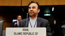 نجفی: فقط در یکسال حدود ۲ هزار و پانصد بار از  ایران بازرسی شده است