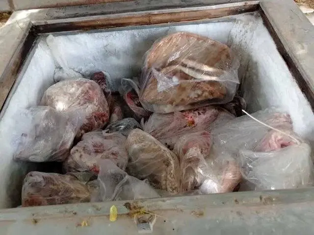 لاشه چندین قلاده گراز و الاغ وحشی از یک خانه کشف شد
