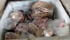 لاشه چندین قلاده گراز و الاغ وحشی از یک خانه کشف شد